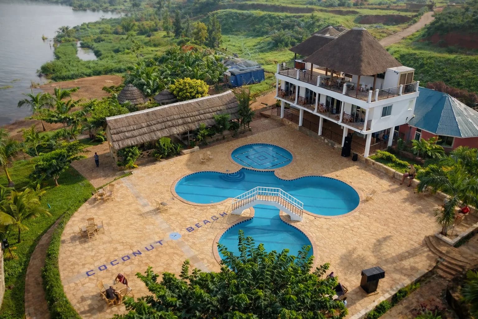 Coconut Beach — coconut overview sharp