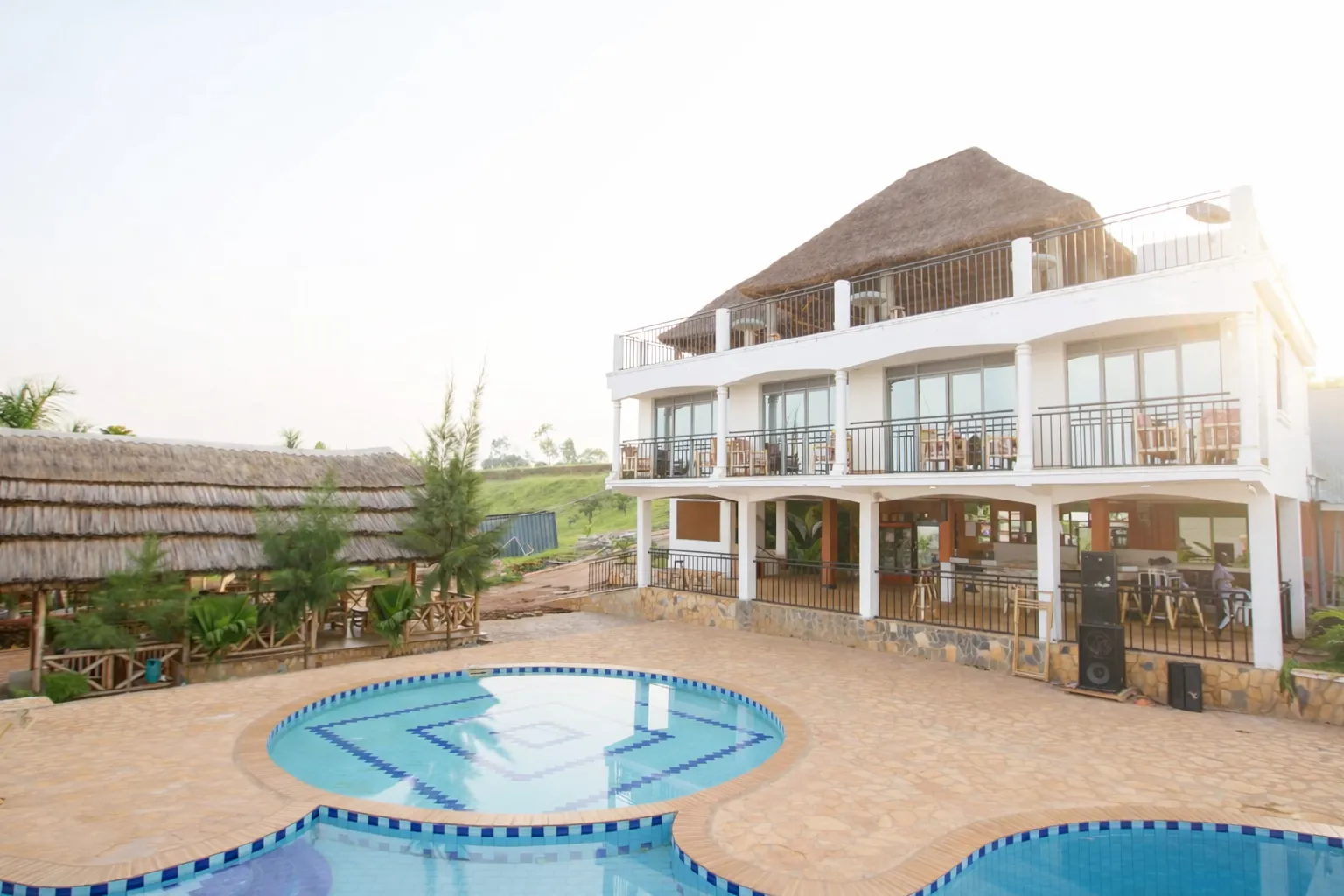 Coconut Beach — coconut overview